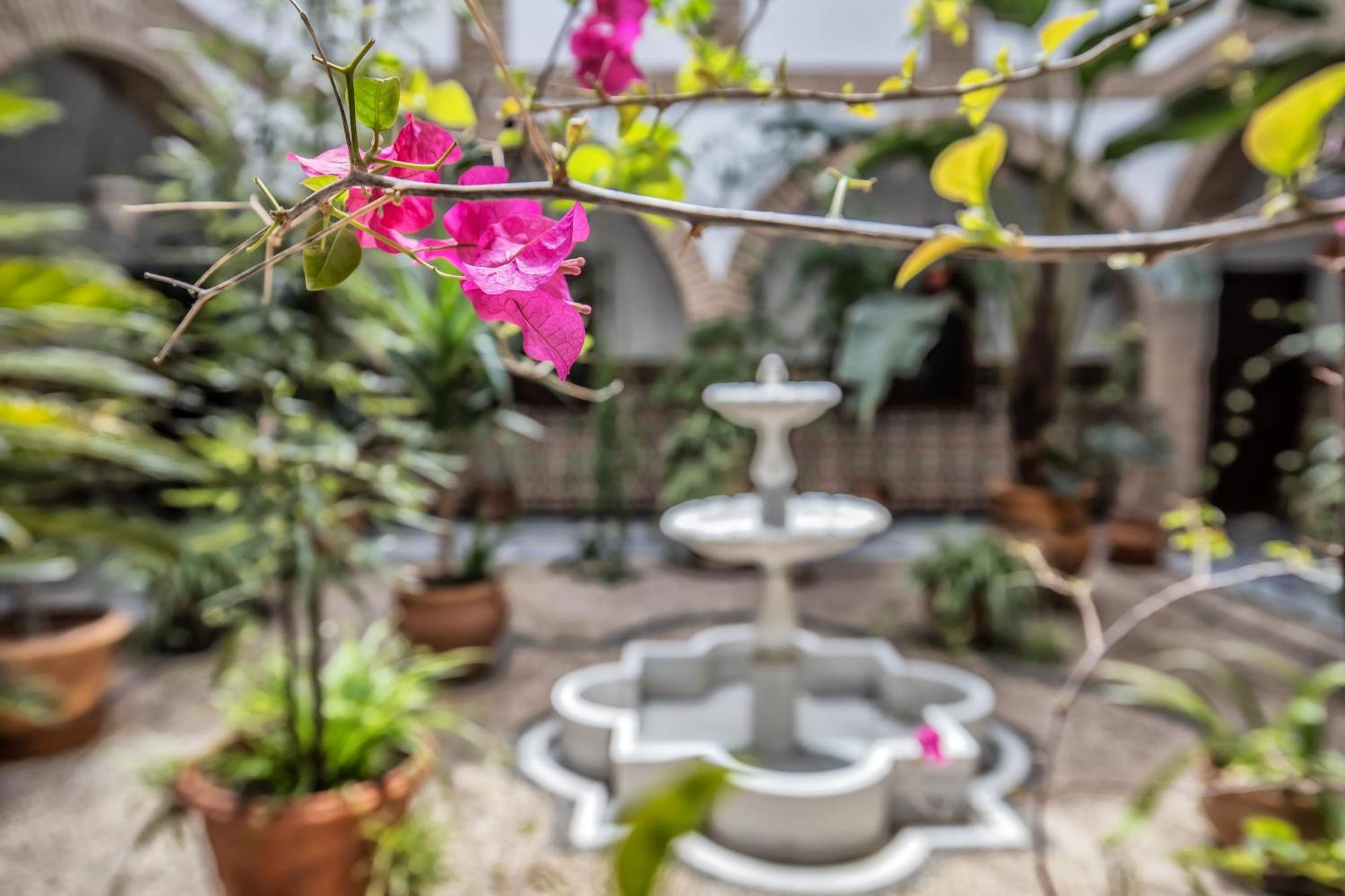 شقة Casa Con Patio Maria Auxiliadora قرطبة المظهر الخارجي الصورة